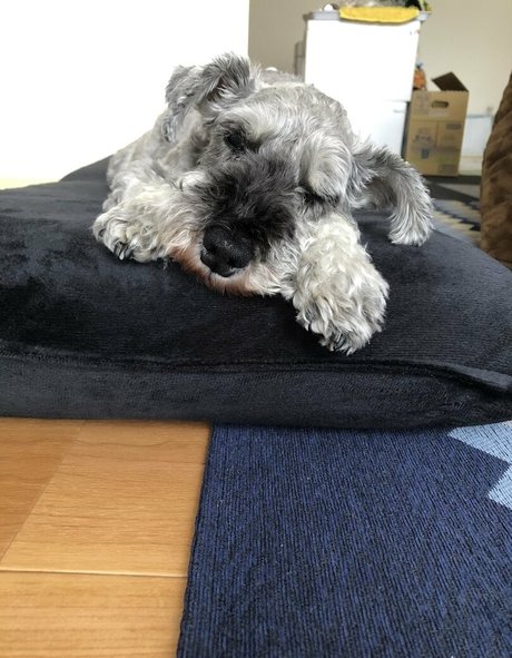 Pchan666 onlyfans porn leak