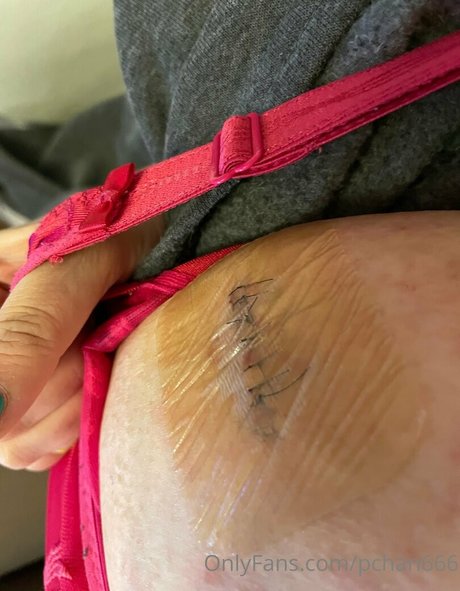 Pchan666 en onlyfans