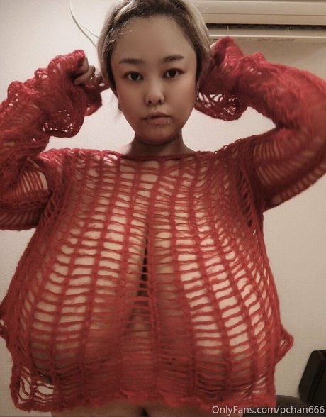 Pchan666 onlyfans sex tape