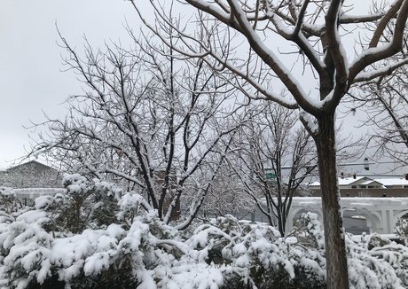 tomiko 1 onlyfans leakd