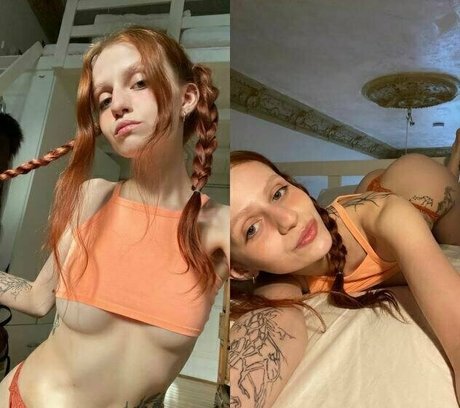 fairytale dreamer  archive