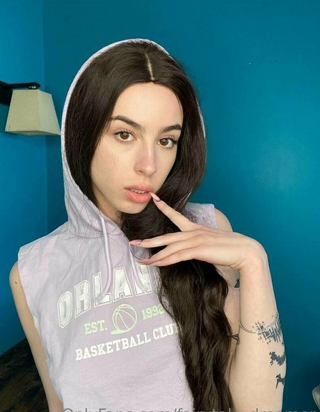 fairytale dreamer  still