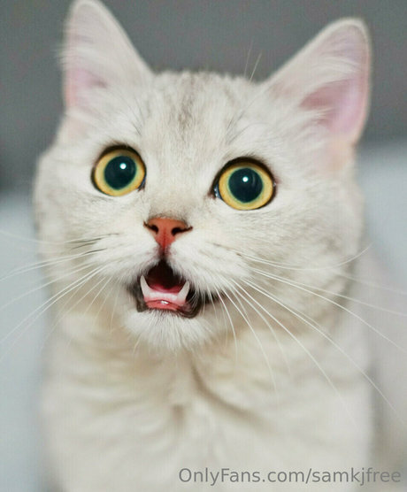 samkjfree nudes only fans