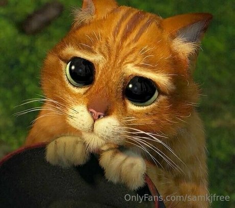 samkjfree only fans nude