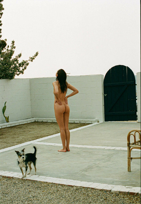 wide onlyfans pornos negative