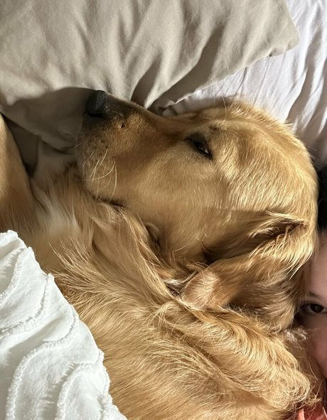 kittncore only fans free