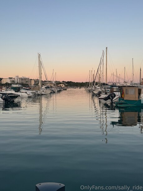 Sally Ride onlyfans nudes