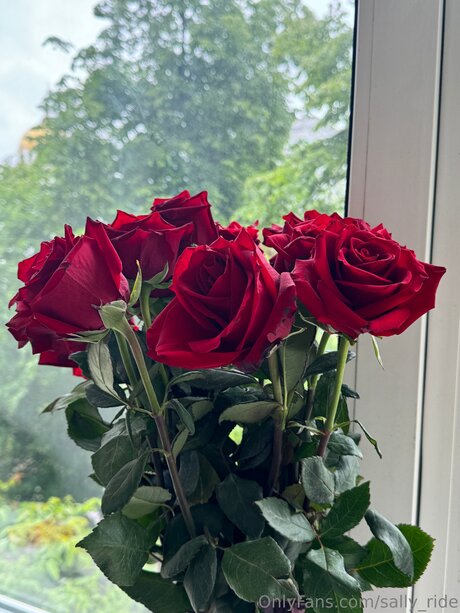 Sally Ride onlyfans striptease