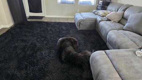 Match My Freak onlyfans free