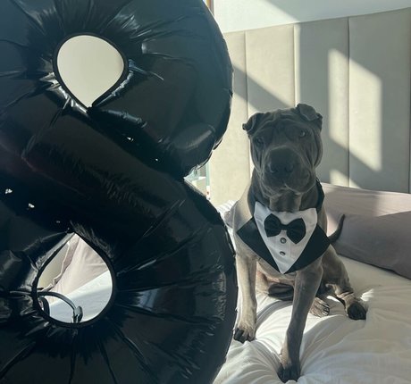 amyanderssen onlyfans free