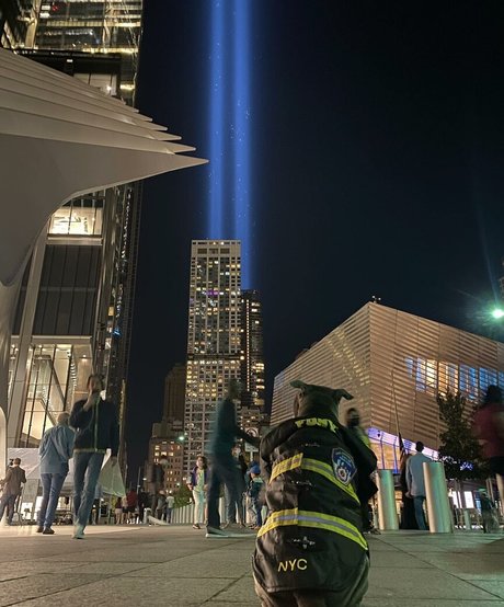 amyanderssen onlyfans nude