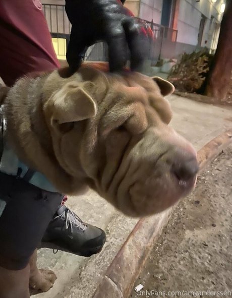 amyanderssen onlyfans topless