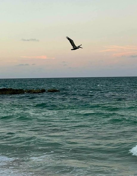 princesspastah onlyfans leak