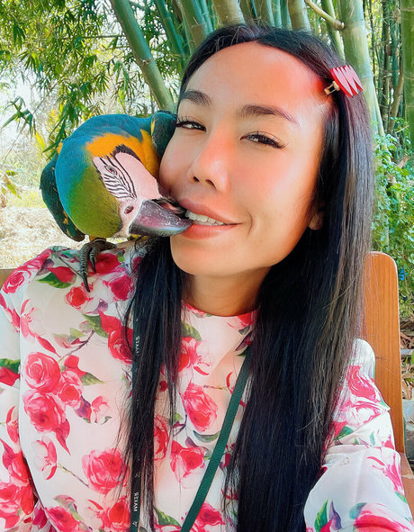 ladyboymos onlyfans porn