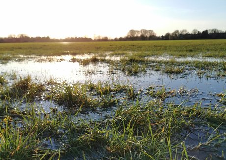 houseofrae only fans leaks porn