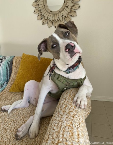 famous free onlyfans nice pic