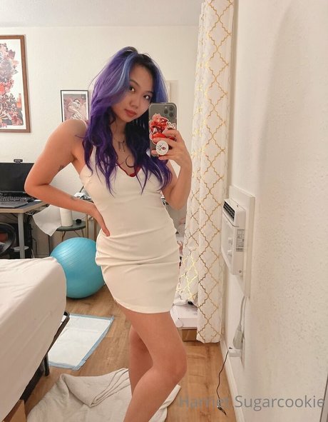 free onlyfans list free sexy plate