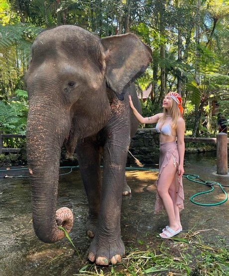 nice tits onlyfans top portrayal