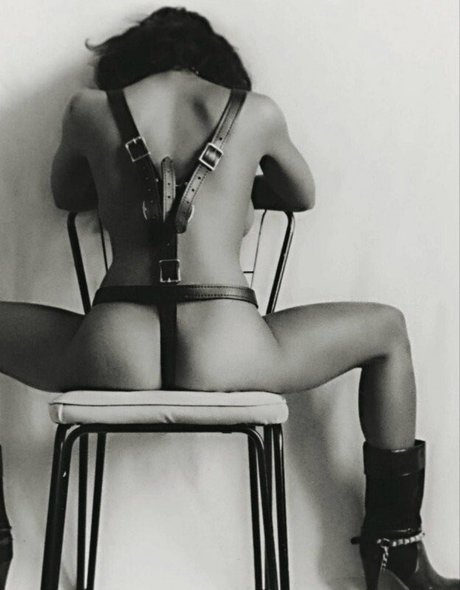 Vanessa L Williams Profile image