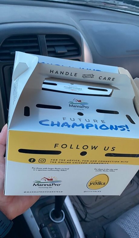 vixenshelbyfree leaked only fans porn