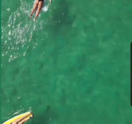 Nastya Blinova onlyfans leaked dirtyship