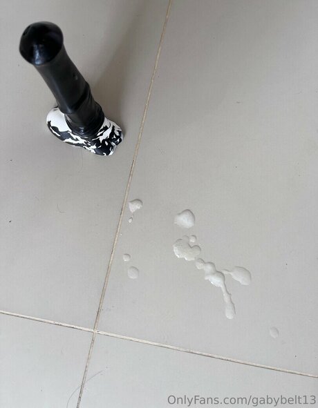 Gabriela Belt  exposure