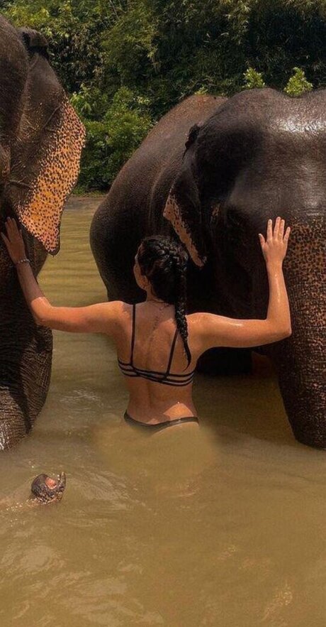 Anica Zimmermann onlyfans leajs