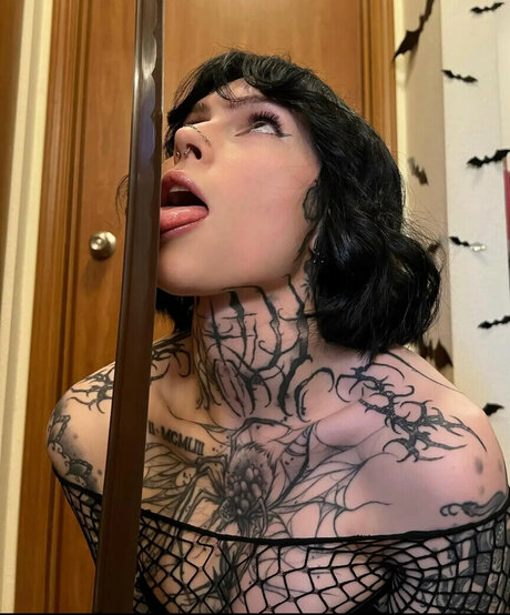 Tyniquewebster onlyfans