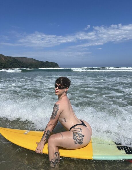 Haroldcdalves  visual