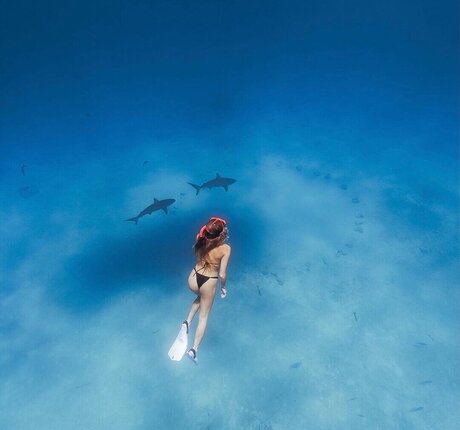 BrieWallz joi onlyfans