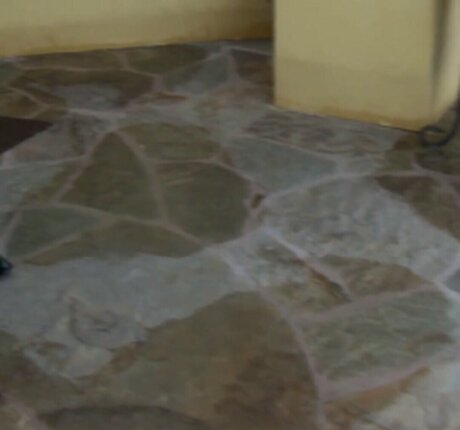 VelicityVon onlyfans leaked xxx