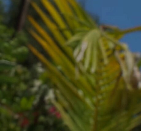 VelicityVon nude only fans leaks