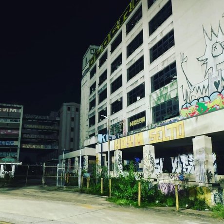 Kinkster Kitty Laika onlyfans for free