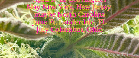 strawberry cakes  artwork