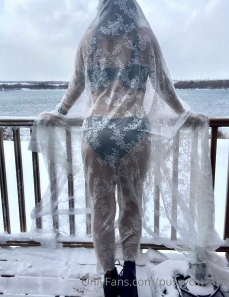 pussycat 357 onlyfans nide