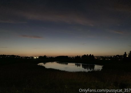 pussycat 357 only fans xxx