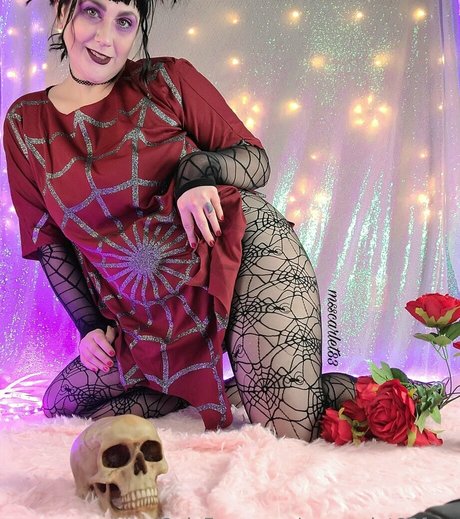 msscarlet83free onlyfans for free