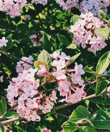 gay roleplay onlyfans pornos shot