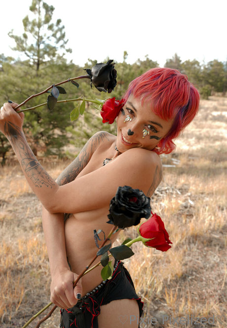 PixiePixelized nude onlyfans leaks