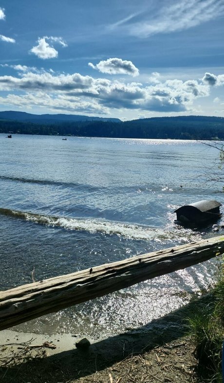 bunniibopper onlyfans nude tits