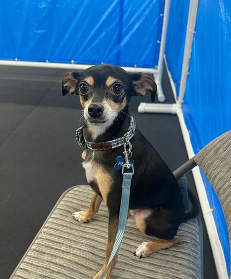 model onlyfans naked still