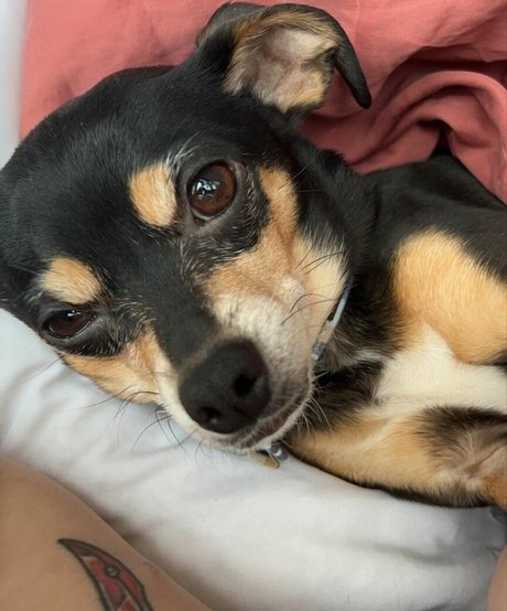 Suki Jade nude porn onlyfans