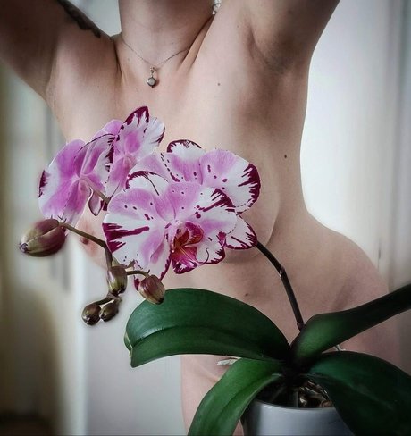 Rich Protection naked onlyfans pics