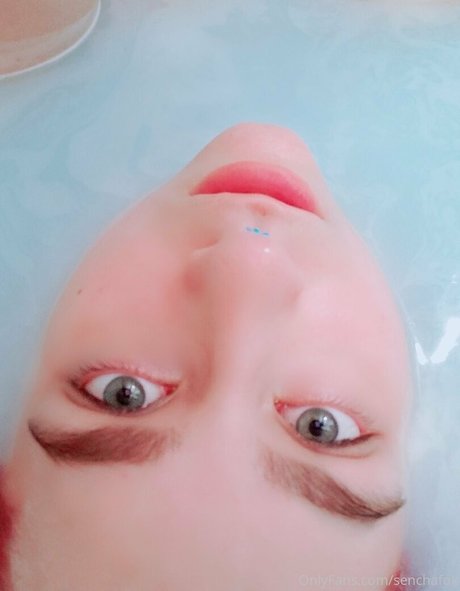 senchafox onlyfans xx