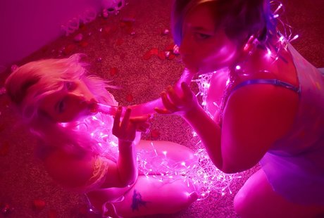 senchafox porn onlyfans