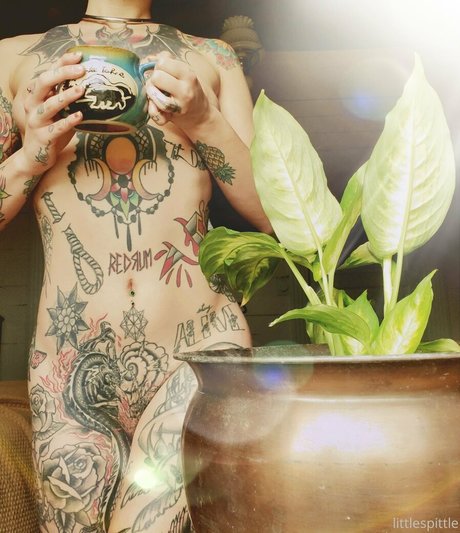 littlespittle naked onlyfans leaked