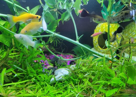 sonjahaze onlyfans leaks