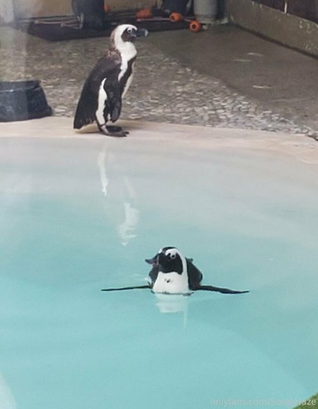 sonjahaze onlyfans model photos