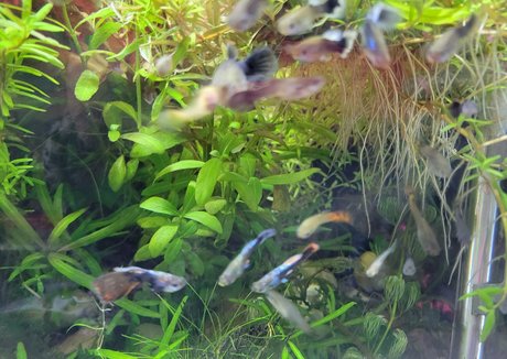 sonjahaze onlyfans xxx