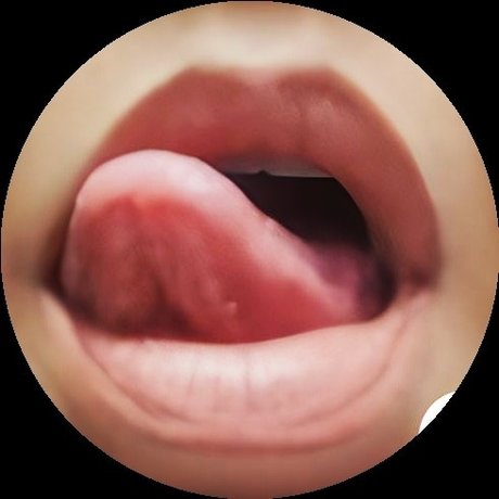 Vocali erotici  render